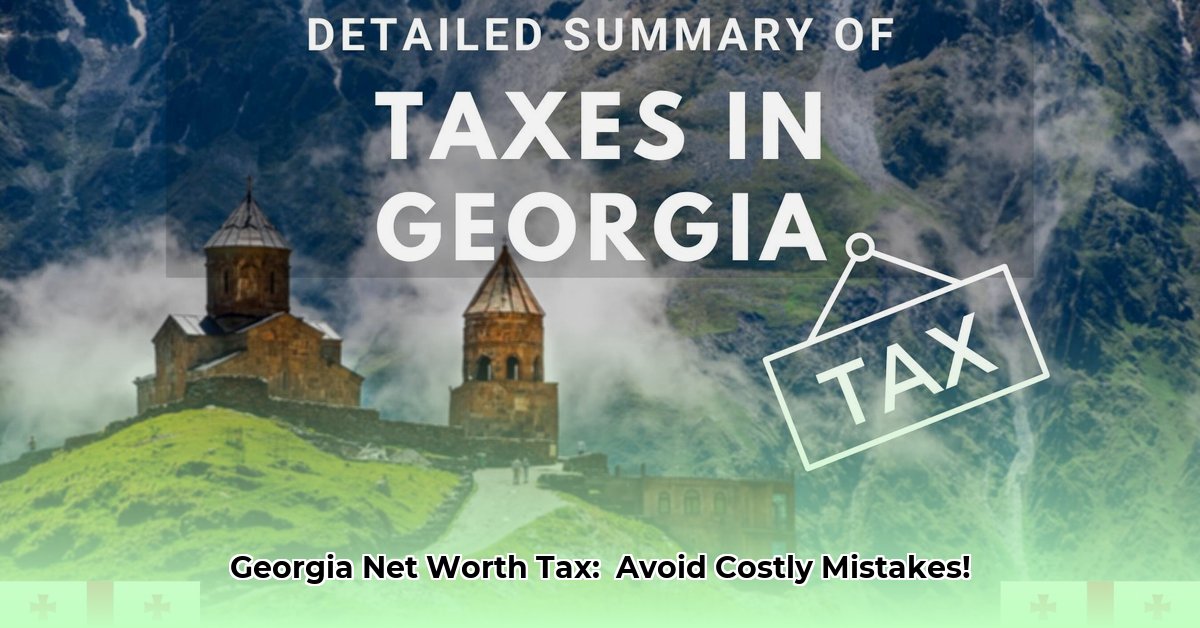 georgia-net-worth-tax